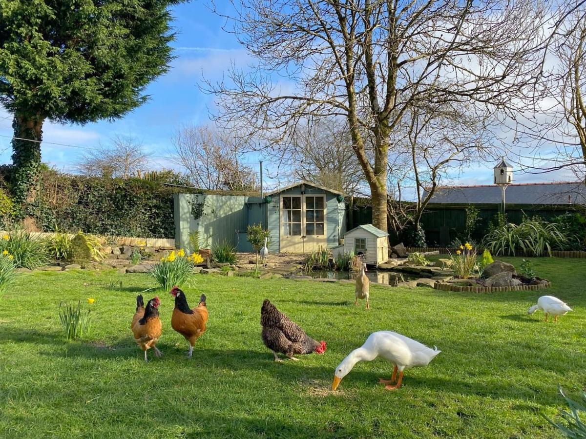 Apartament The Duck House Swansea Zewnętrze zdjęcie